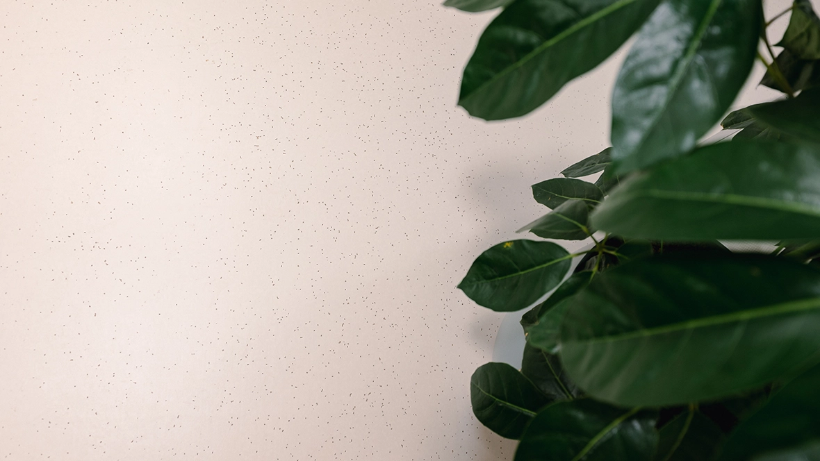 Saffier Groep - De Baton - Sphera homogeen vinyl in de kleur Linen in de gangen